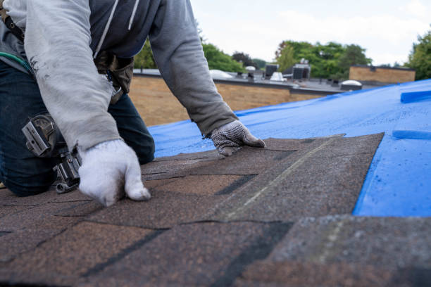 Roof Gutter Cleaning in Wimauma, FL