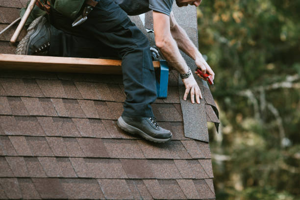 Best Gutter Installation and Roofing  in Wimauma, FL